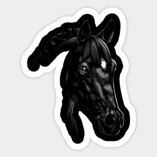 Beautiful Arabian horse Sticker